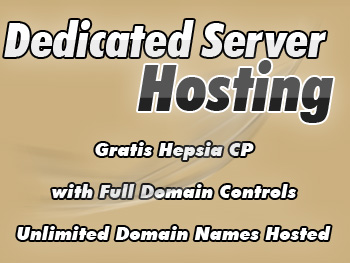 Economical dedicated servers hosting package